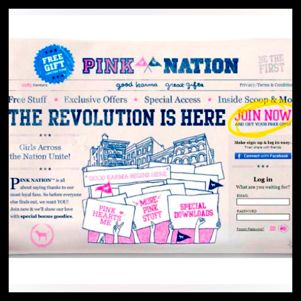 Pink Vs “ ” Bundle
